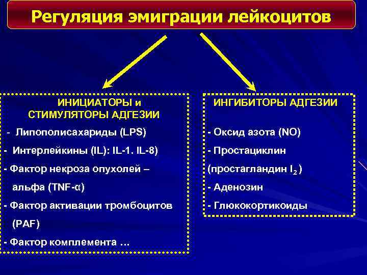 Регуляция эмиграции лейкоцитов ИНИЦИАТОРЫ и СТИМУЛЯТОРЫ АДГЕЗИИ ИНГИБИТОРЫ АДГЕЗИИ - Липополисахариды (LPS) - Оксид