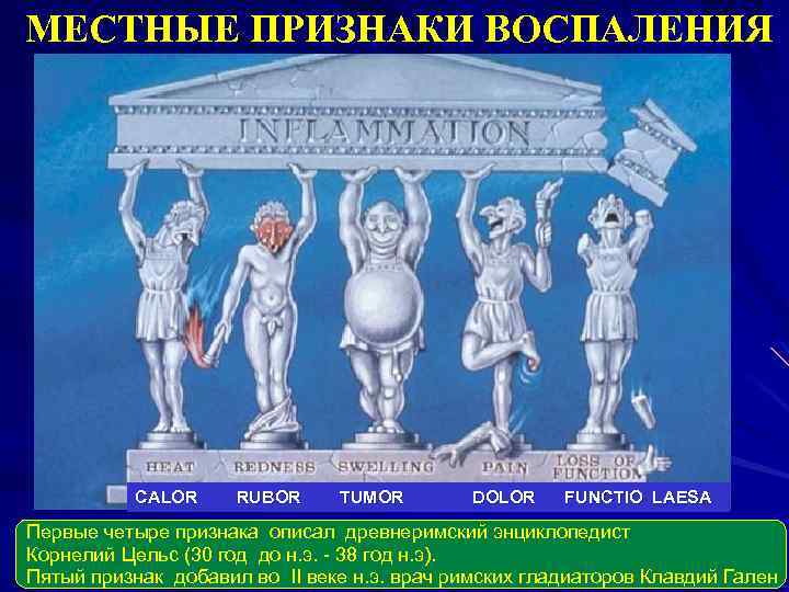 МЕСТНЫЕ ПРИЗНАКИ ВОСПАЛЕНИЯ САLOR RUBOR TUMOR DOLOR FUNCTIO LAESA Первые четыре признака описал древнеримский