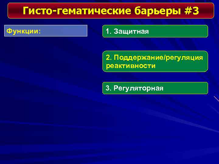 Гисто-гематические барьеры #3 Функции: 1. Защитная 2. Поддержание/регуляция реактивности 3. Регуляторная 