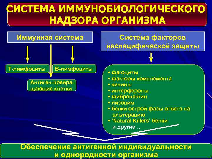 СИСТЕМА ИММУНОБИОЛОГИЧЕСКОГО НАДЗОРА ОРГАНИЗМА Иммунная система Т-лимфоциты В-лимфоциты Антиген-превращающие клетки Система факторов неспецифической защиты