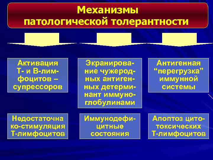 Механизмы патологической толерантности Активация Т- и В-лимфоцитов – супрессоров Экранирование чужеродных антигенных детерминант иммуноглобулинами