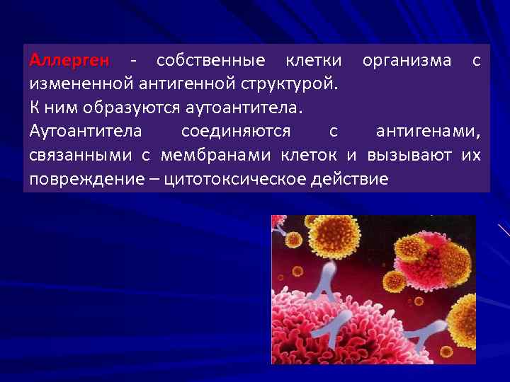 Аллерген - собственные клетки организма с измененной антигенной структурой. К ним образуются аутоантитела. Аутоантитела