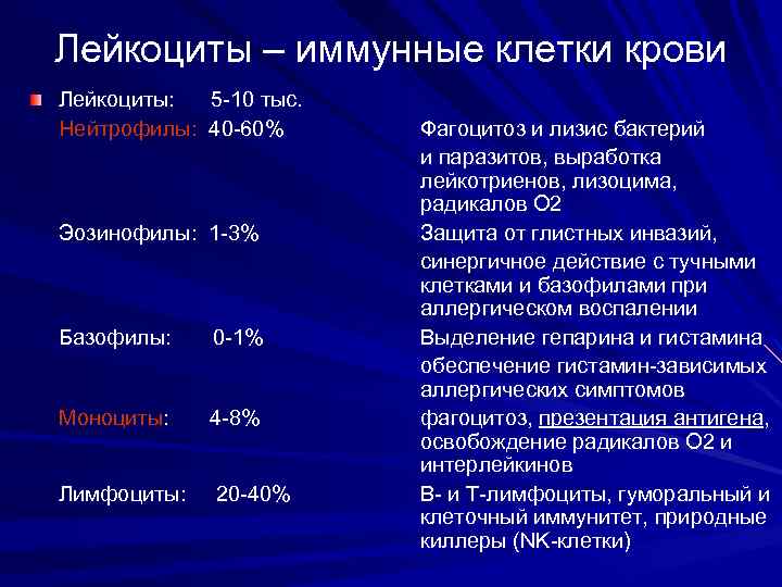 Лейкоциты – иммунные клетки крови Лейкоциты: 5 -10 тыс. Нейтрофилы: 40 -60% Фагоцитоз и