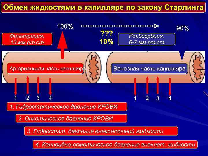 Обмен жидкостями в капилляре по закону Старлинга 100% Фильтрация, 13 мм рт. ст. ?