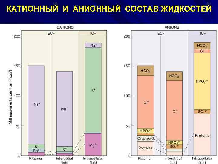 КАТИОННЫЙ И АНИОННЫЙ СОСТАВ ЖИДКОСТЕЙ 