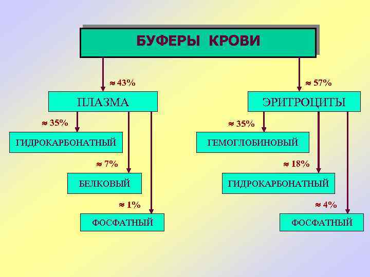 БУФЕРЫ КРОВИ 43% 57% ПЛАЗМА 35% ЭРИТРОЦИТЫ 35% ГИДРОКАРБОНАТНЫЙ ГЕМОГЛОБИНОВЫЙ 7% 18% БЕЛКОВЫЙ 1%