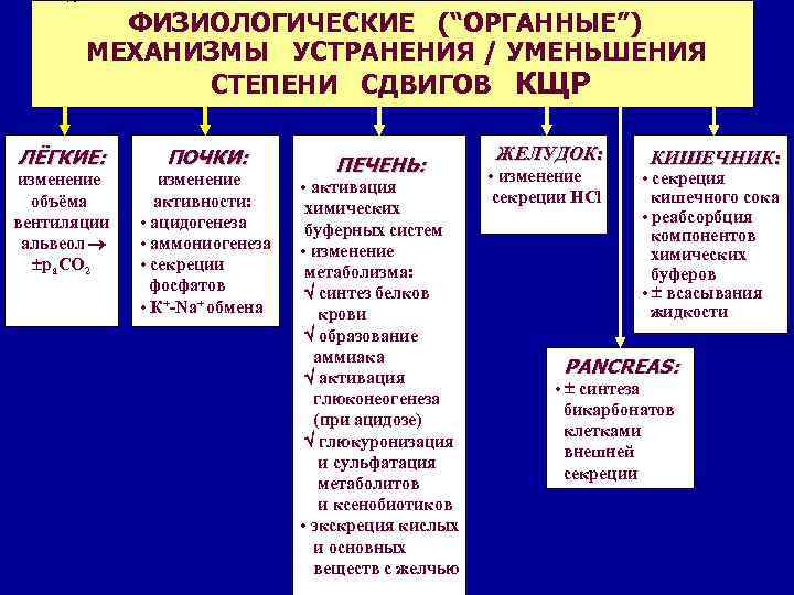 ГЭОТАР-МЕД, 2004 ФИЗИОЛОГИЧЕСКИЕ (“ОРГАННЫЕ”) МЕХАНИЗМЫ УСТРАНЕНИЯ / УМЕНЬШЕНИЯ СТЕПЕНИ СДВИГОВ КЩР ЛЁГКИЕ: ПОЧКИ: изменение