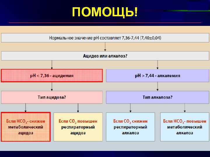 ПОМОЩЬ! 