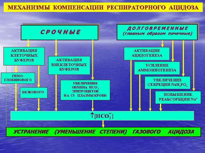 МЕХАНИЗМЫ КОМПЕНСАЦИИ РЕСПИРАТОРНОГО АЦИДОЗА ДОЛГОВРЕМЕННЫЕ (главным образом почечные) СРОЧНЫЕ АКТИВАЦИЯ КЛЕТОЧНЫХ БУФЕРОВ ГЕМОГЛОБИНОВОГО БЕЛКОВОГО