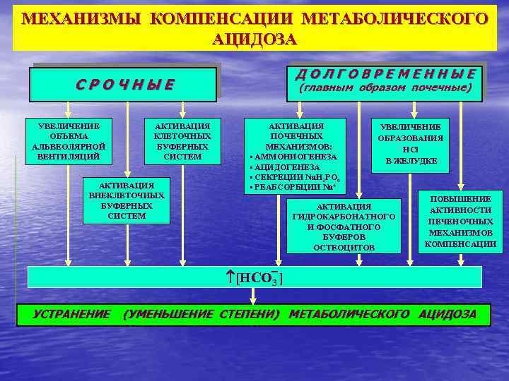 МЕХАНИЗМЫ КОМПЕНСАЦИИ МЕТАБОЛИЧЕСКОГО АЦИДОЗА ДОЛГОВРЕМЕННЫЕ СРОЧНЫЕ УВЕЛИЧЕНИЕ ОБЪЕМА АЛЬВЕОЛЯРНОЙ ВЕНТИЛЯЦИЙ АКТИВАЦИЯ КЛЕТОЧНЫХ БУФЕРНЫХ СИСТЕМ