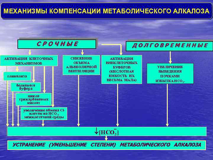 МЕХАНИЗМЫ КОМПЕНСАЦИИ МЕТАБОЛИЧЕСКОГО АЛКАЛОЗА СРОЧНЫЕ АКТИВАЦИЯ КЛЕТОЧНЫХ МЕХАНИЗМОВ гликолиза ДОЛГОВРЕМЕННЫЕ СНИЖЕНИЕ ОБЪЕМА АЛЬВЕОЛЯРНОЙ ВЕНТИЛЯЦИИ