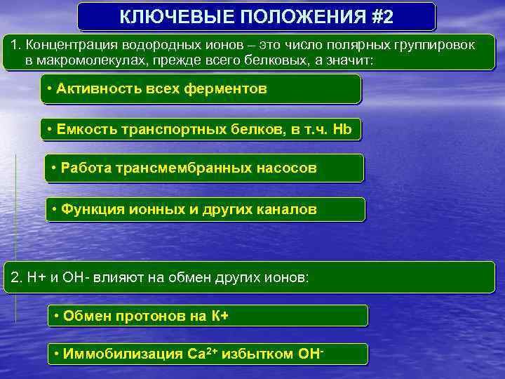 КЛЮЧЕВЫЕ ПОЛОЖЕНИЯ #2 1. Концентрация водородных ионов – это число полярных группировок в макромолекулах,