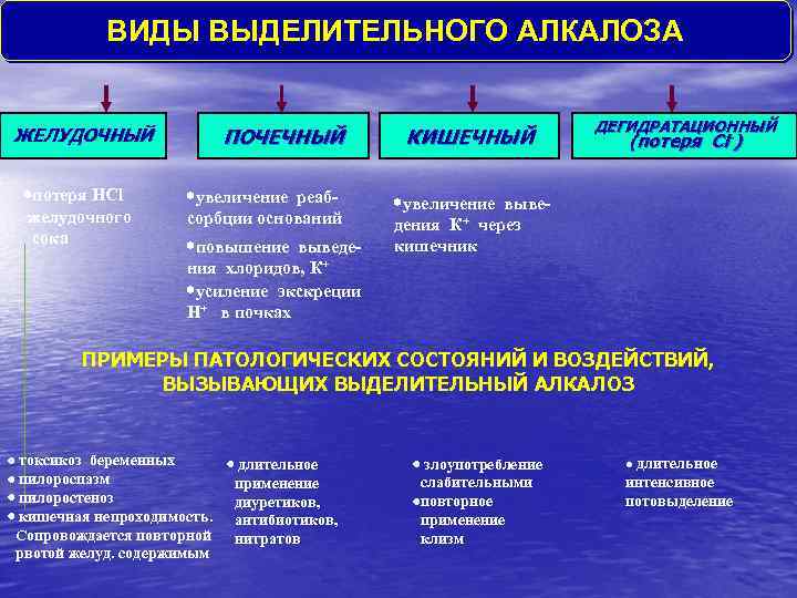 ВИДЫ ВЫДЕЛИТЕЛЬНОГО АЛКАЛОЗА ЖЕЛУДОЧНЫЙ потеря HCl желудочного сока ПОЧЕЧНЫЙ увеличение реабсорбции оснований повышение выведения