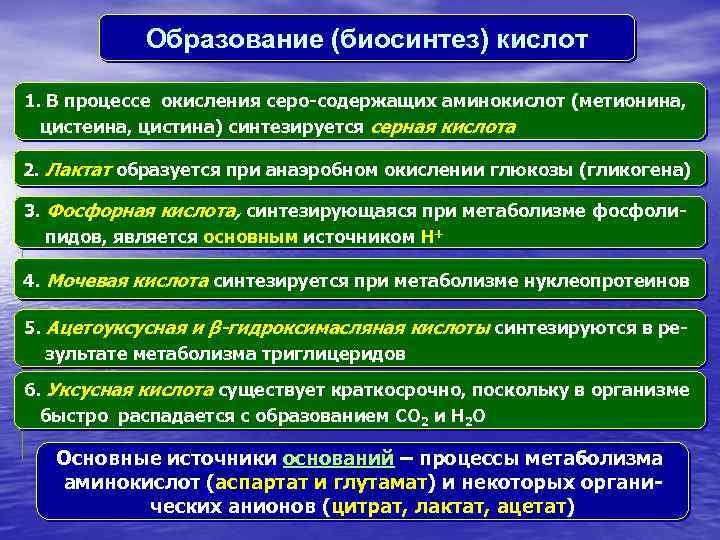 Образование (биосинтез) кислот 1. В процессе окисления серо-содержащих аминокислот (метионина, цистеина, цистина) синтезируется серная