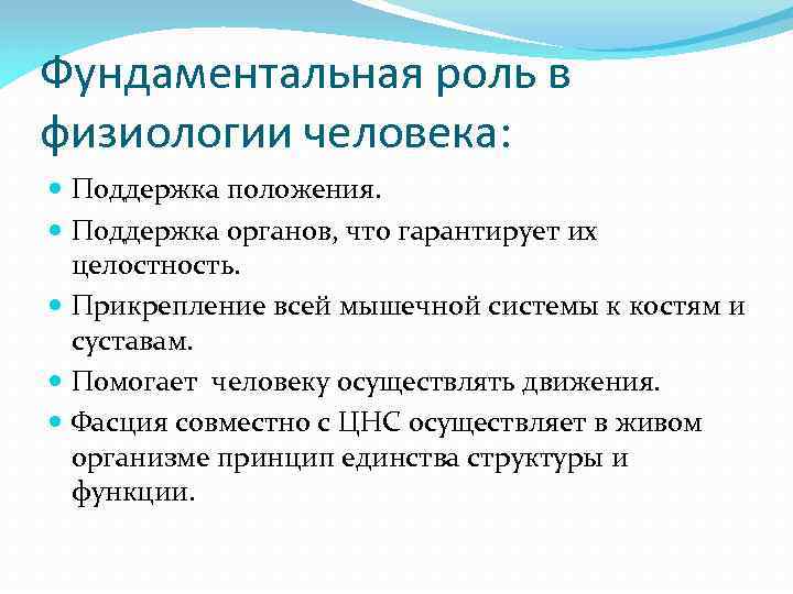 Фундаментальная роль в физиологии человека: Поддержка положения. Поддержка органов, что гарантирует их целостность. Прикрепление