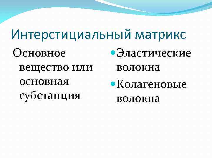 Интерстициальный матрикс Основное вещество или основная субстанция Эластические волокна Колагеновые волокна 