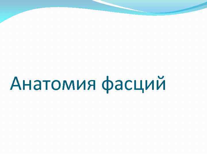 Анатомия фасций 