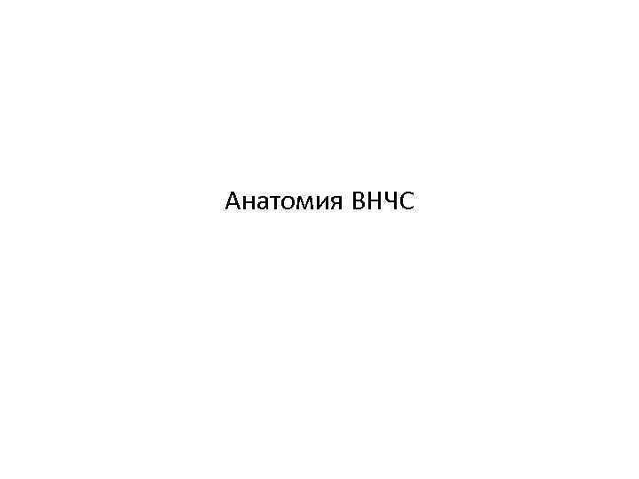 Анатомия ВНЧС 