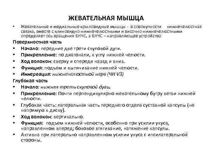 ЖЕВАТЕЛЬНАЯ МЫШЦА • Жевательные и медиальные крыловидные мышцы - в совокупности нижнечелюстная связка, вместе