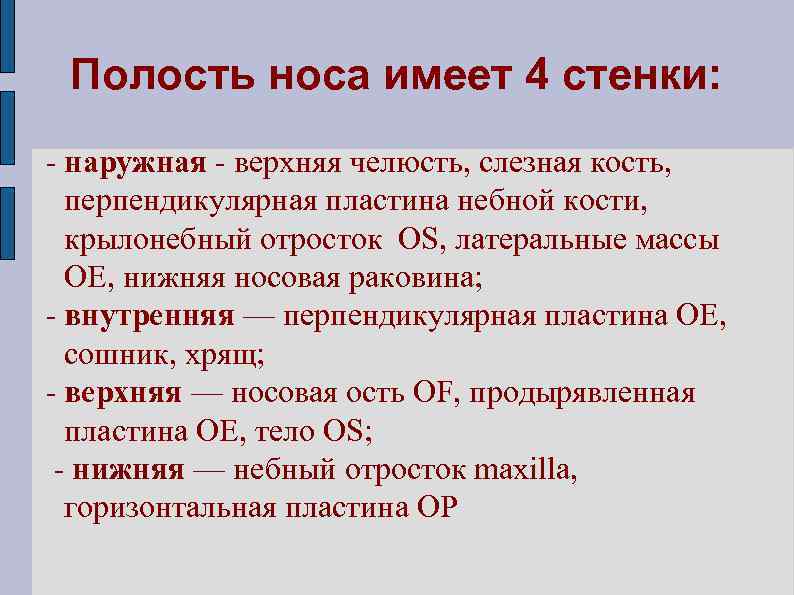 Полость носа имеет 4 стенки: - наружная - верхняя челюсть, слезная кость, перпендикулярная пластина
