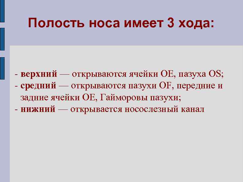 Полость носа имеет 3 хода: - верхний — открываются ячейки OE, пазуха OS; -