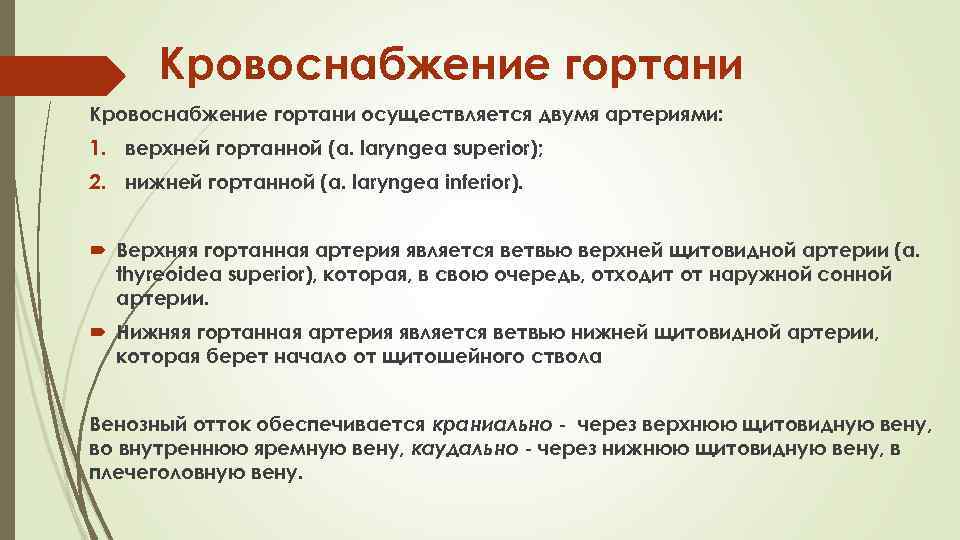 Кровоснабжение гортани осуществляется двумя артериями: 1. верхней гортанной (a. laryngea superior); 2. нижней гортанной