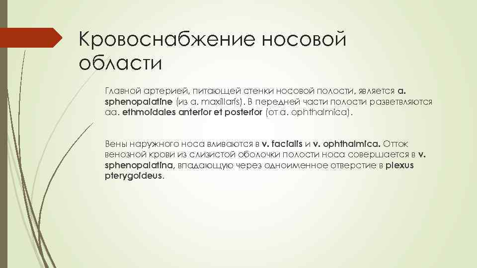 Кровоснабжение носовой области Главной артерией, питающей стенки носовой полости, является a. sphenopalatine (из a.