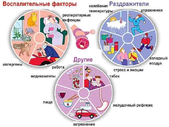 Факторы риска, влияющие на развитие и проявления БА Внутренние факторы Внешние факторы Генетические: гены,