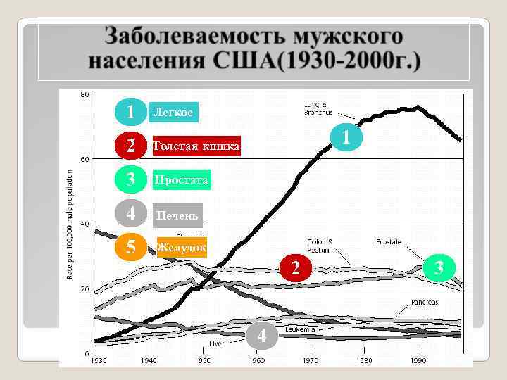 1 Легкое 2 Толстая кишка 3 Простата 4 Печень 5 Желудок 1 2 Заболеваемость