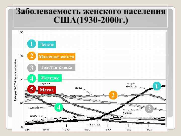 1 Легкое 2 Молочная железа 3 4 5 Толстая кишка Желудок Матка 1 2