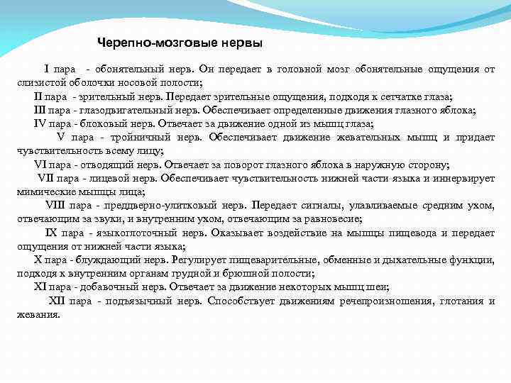Черепно-мозговые нервы I пара - обонятельный нерв. Он передает в головной мозг обонятельные ощущения