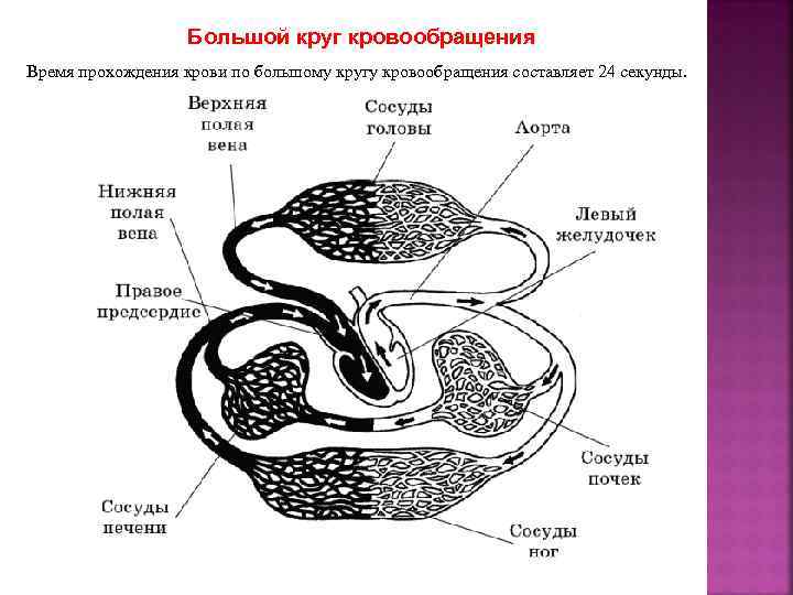 Обливион кровь даэдра прохождение