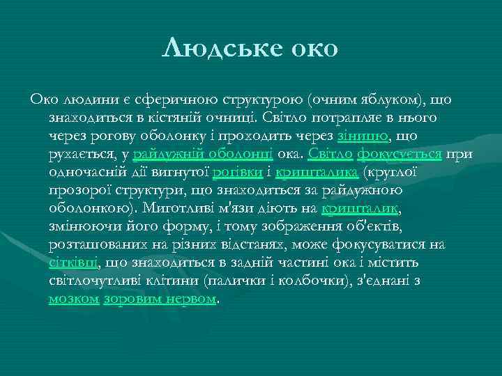 Людське око Око людини є сферичною структурою (очним яблуком), що знаходиться в кістяній очниці.