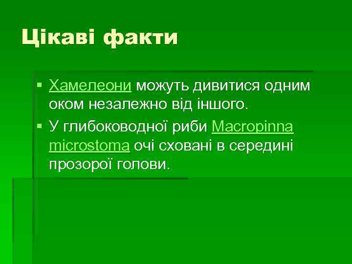 Цікаві факти § Хамелеони можуть дивитися одним оком незалежно від іншого. § У глибоководної