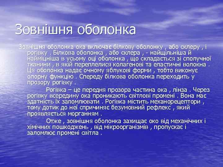 Зовнішня оболонка ока включає білкову оболонку , або склеру , і рогівку. Білкова оболонка