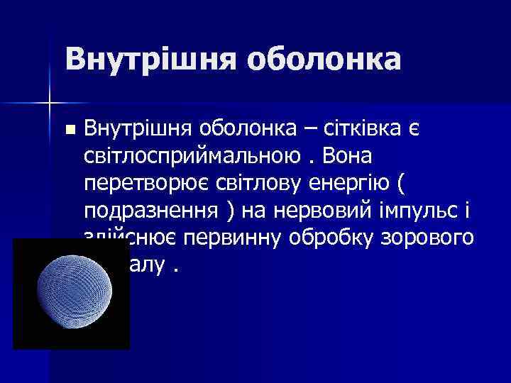 Внутрішня оболонка n Внутрішня оболонка – сітківка є світлосприймальною. Вона перетворює світлову енергію (