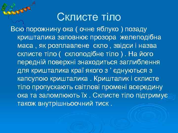 Склисте тіло Всю порожнину ока ( очне яблуко ) позаду кришталика заповнює прозора желеподібна