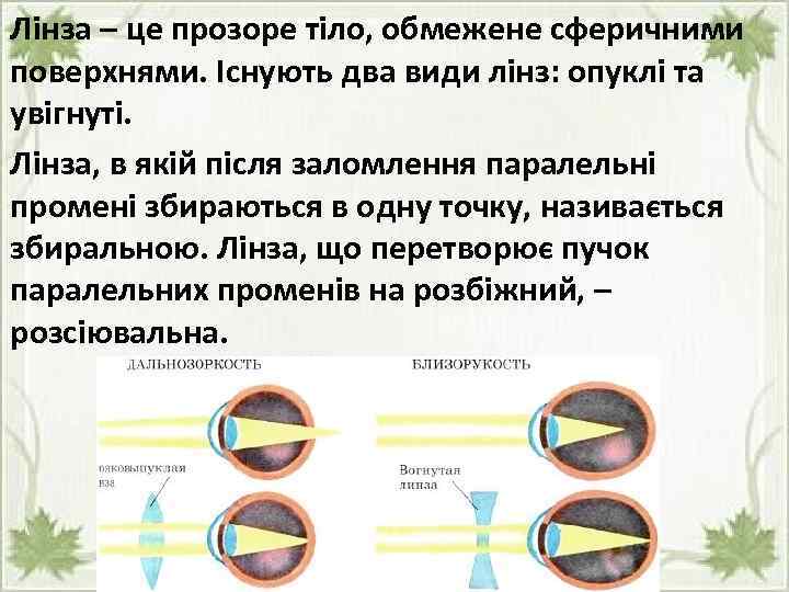 Лінза – це прозоре тіло, обмежене сферичними поверхнями. Існують два види лінз: опуклі та