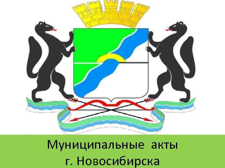 Муниципальные акты г. Новосибирска 