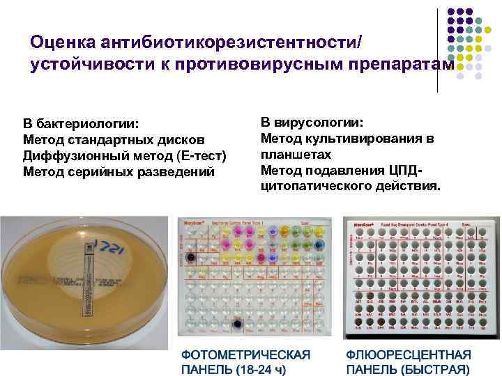 Оценка антибиотикорезистентности/ устойчивости к противовирусным препаратам В бактериологии: Метод стандартных дисков Диффузионный метод (Е-тест)