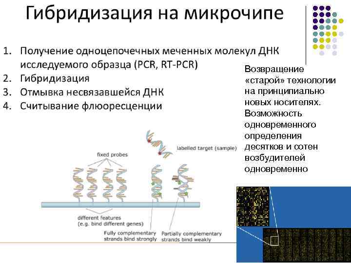 Возвращение «старой» технологии на принципиально новых носителях. Возможность одновременного определения десятков и сотен возбудителей