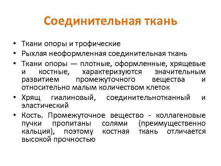 Соединительная ткань • Ткани опоры и трофические • Рыхлая неоформленная соединительная ткань • Ткани