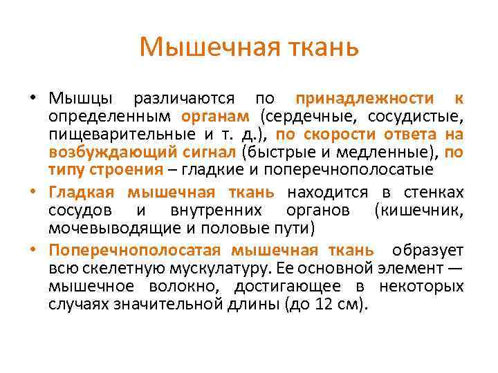Мышечная ткань • Мышцы различаются по принадлежности к определенным органам (сердечные, сосудистые, пищеварительные и