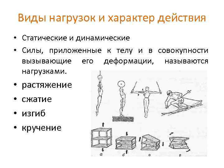 Биомеханика физических упражнений презентация