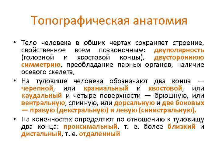 Топографическая анатомия • Тело человека в общих чертах сохраняет строение, свойственное всем позвоночным: двуполярность