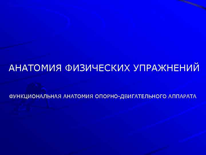 АНАТОМИЯ ФИЗИЧЕСКИХ УПРАЖНЕНИЙ ФУНКЦИОНАЛЬНАЯ АНАТОМИЯ ОПОРНО-ДВИГАТЕЛЬНОГО АППАРАТА 