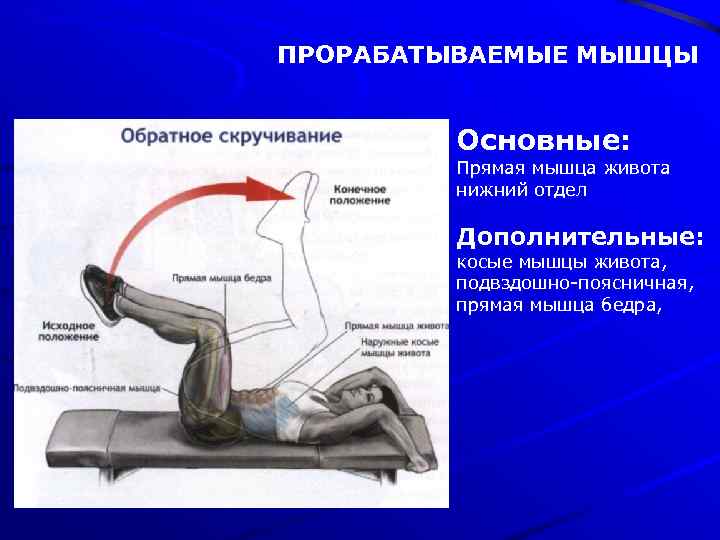 ПРОРАБАТЫВАЕМЫЕ МЫШЦЫ Основные: Прямая мышца живота нижний отдел Дополнительные: косые мышцы живота, подвздошно-поясничная, прямая