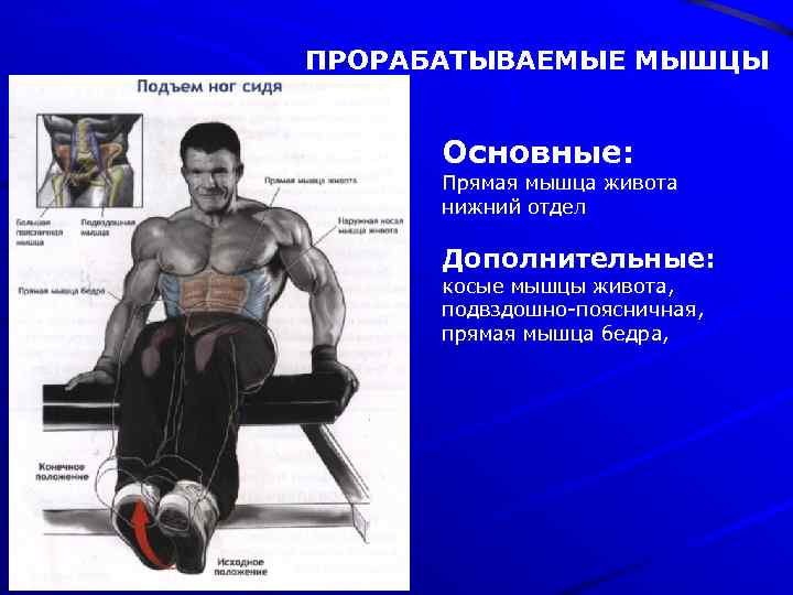 ПРОРАБАТЫВАЕМЫЕ МЫШЦЫ Основные: Прямая мышца живота нижний отдел Дополнительные: косые мышцы живота, подвздошно-поясничная, прямая