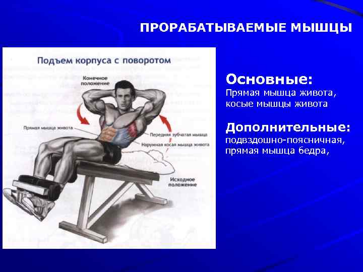 ПРОРАБАТЫВАЕМЫЕ МЫШЦЫ Основные: Прямая мышца живота, косые мышцы живота Дополнительные: подвздошно-поясничная, прямая мышца бедра,