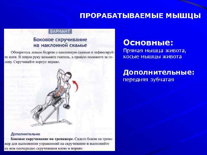 ПРОРАБАТЫВАЕМЫЕ МЫШЦЫ Основные: Прямая мышца живота, косые мышцы живота Дополнительные: передняя зубчатая 
